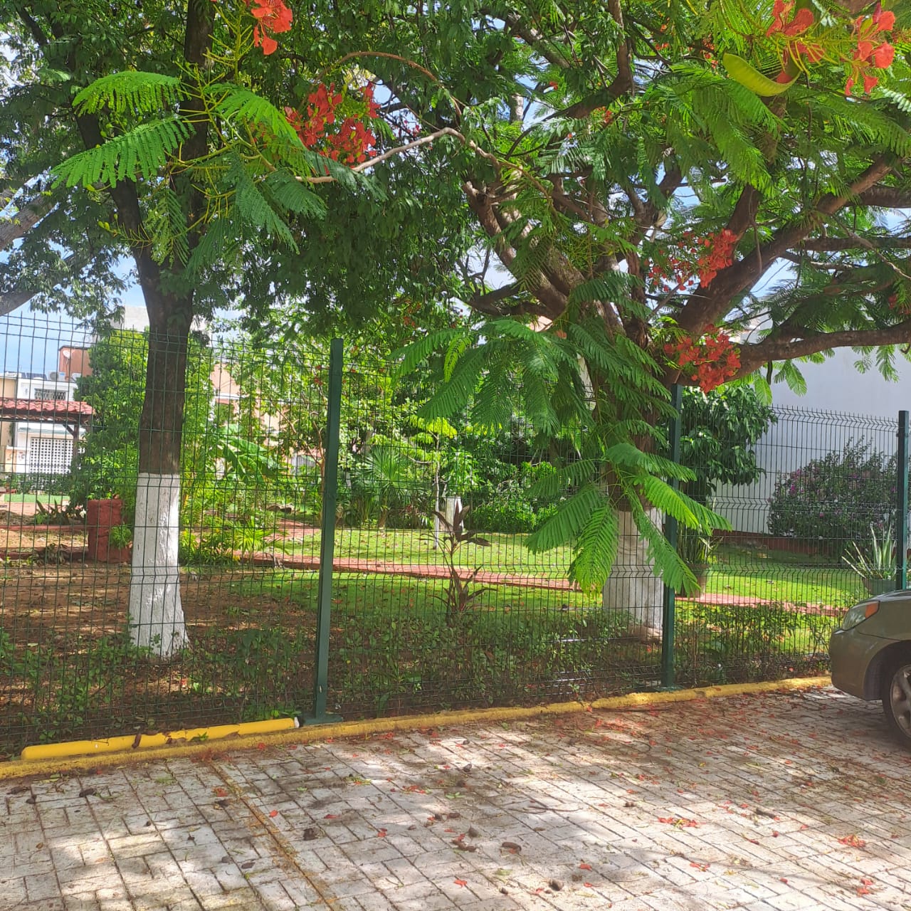 CASA EN RENTA PORTO ALEGRE - Av. Las Torres/Kabah  - Imagen 2